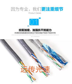 遠傳光速國標過測網(wǎng)線 超五類品質，300米無氧銅芯的可靠之選